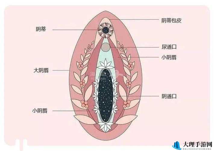 啊好痛嗯轻一点系统：探寻极致体验与舒适的平衡